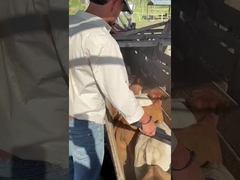 PT290 LF-lezer voor oordopjes voor runderen RFID-lezer