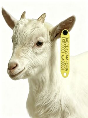 Hoogtemperatuurbestendige anti-verlies RFID integreren elektronische oortag voor schapen met TPU-materiaal en ingebouwde RFID-chip