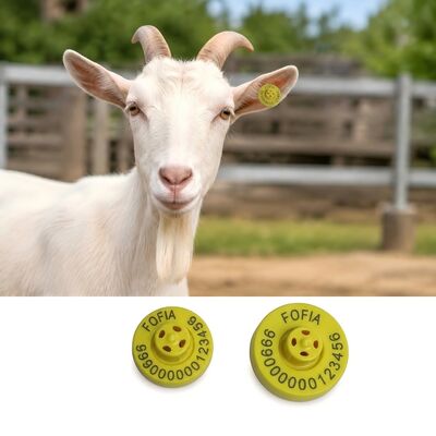 Leesbereik tot 22 cm met handlezer oormerken voor varkens, laserprinten, duurzame oplossing voor identificatie van vee
