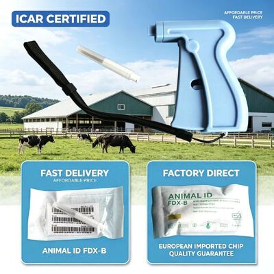 ICAR-certificaat ISO Transponder microchip ontworpen voor draadloze communicatie en duurzame prestaties in automobiel- en beveiligingssystemen