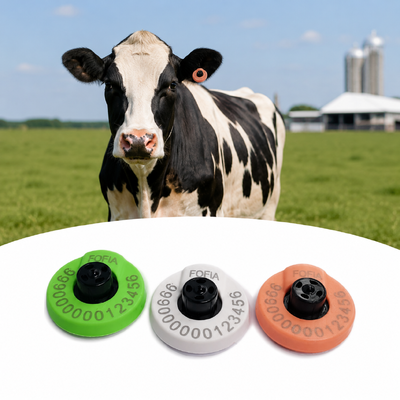 Identificatie oormerken van varkens, perfecte keuze voor identificatie van boerderijdieren en voorraadbeheer