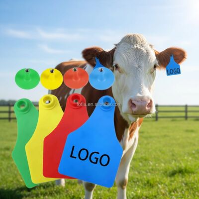 T904 Visueel vee-oormerk Duurzame TPU-tag voor het fokken en slachten van dieren