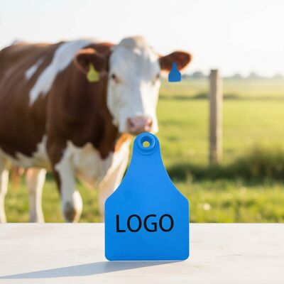 T921 Dier Geel geit Vleeshuisdieren Oordop RFID TPU Boerderij Runder