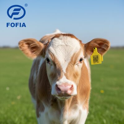 Nieuwe T921 Huishoudelijke oorplaatje Geel RFID-TPU van hoge kwaliteit voor vee