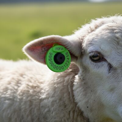 Nieuwe IEC 68-2-6 Vibration Standard Plastic RFID Ear Tag voor veeteelt met veilige en nauwkeurige identificatie