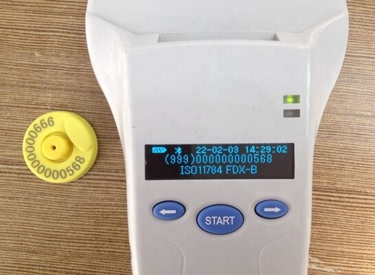 Duurzame RFID-handheldlezer met 128x32 OLED-scherm USB voor plastic