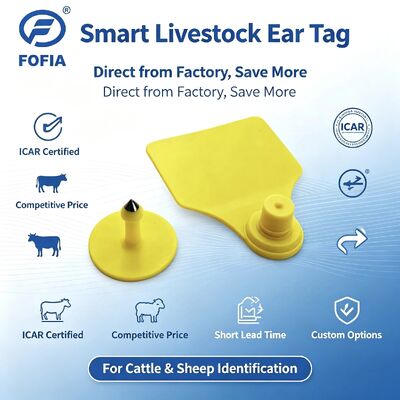 Fofia T904 Combinatie dierlijke oorplaat RFID TPU 72*57mm Laser codering Boerderij runderen Varkens schapen Icar
