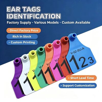 FOFIA ET921 Plastic Cow Ear Tags Animal Tracking Laser Coding Diverse maten Runder Rinder Schaap Varken Boerderij Gebruik met nummer