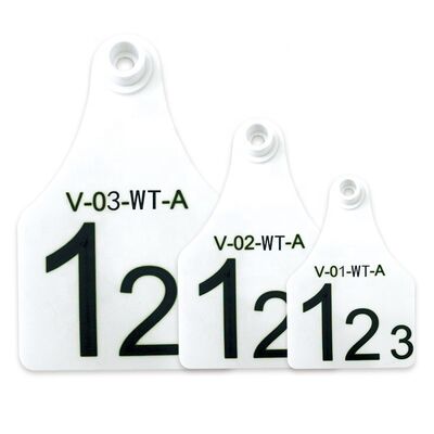 FOFIA ET921 Plastic Cow Ear Tags Animal Tracking Laser Coding Diverse maten Runder Rinder Schaap Varken Boerderij Gebruik met nummer