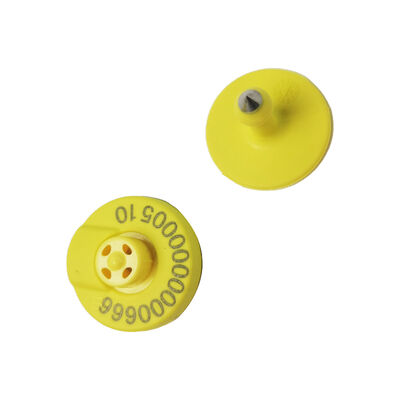 RFID FDX HDX Animal Electronic Ear Tags 134.2KHz vee Varkens Schapen runderen