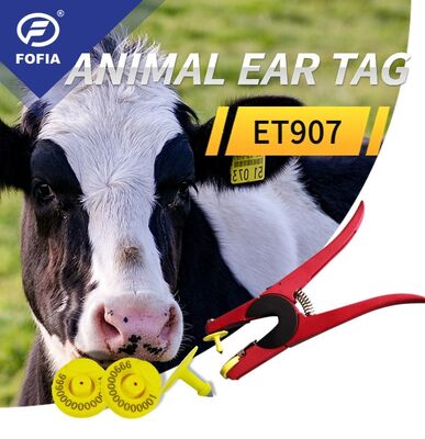 Fofia ICAR-gecertificeerde plastic oordopjes voor runderen varkens geiten ISO-conforme slimme identificatie van vee