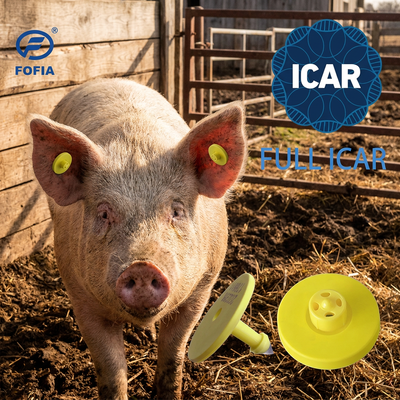 FULL ICAR ET908 Circulaire dierlijke oorplaat met BLE-lezer ISO11784/5 FDX-B Waterdicht en duurzaam