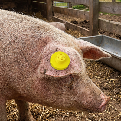 Hoogwaardige waterdichte anti-verlies RFID schapen oor tag ISO11785 FDX-B voor dier tracking