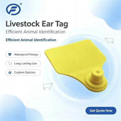 ICAR Fofia T904 Animal Ear Tag Chip Nieuwe hoge kwaliteit RFID TPU laser codering 3 jaar garantie