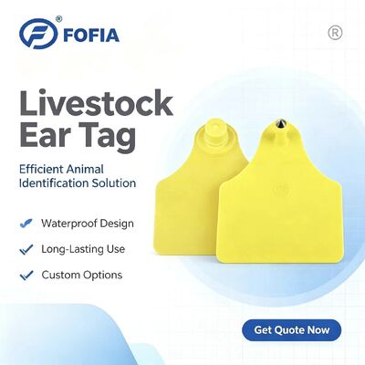 ICAR T904+T905 Combinatie Animal Tracking Ear Tag Nieuw RFID TPU Plastic 70*57mm Laser Coding 3 Jaar Garantie Boerderij Gebruik vee