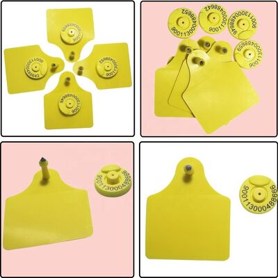 ICAR T904+T905 Combinatie Dieren Tracker Oormerk Nieuwe Hoge Kwaliteit RFID Plastic TPU 70*57mm Laser Codering 3 Jaar Garantie Boerderij