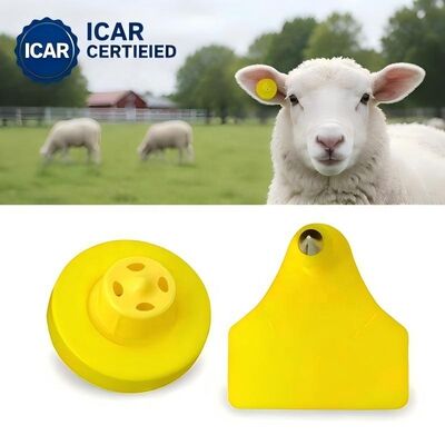Fofia ET957+T967 Schapen-geitencombinatie Elektronisch boerderijgebruik Tracking Ear Tag Nieuwe hoge kwaliteit RFID TPU laser codering 3 jaar