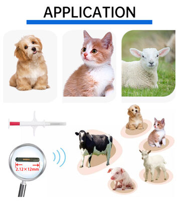 Waterproof Fofia Nieuwe Hot Selling RFID 134.2kHz PP Materiaal Hond ID Microchip Waterdichte Boerderij Gebruik Huisdier Injectie 1.5 Jaar Oormerk