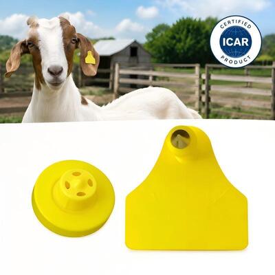 Fofia ET957+T967 Schapen Geiten Vee Combinatie Elektronisch Boerderij Tracking Oormerk Nieuwe Hoge Kwaliteit RFID TPU Laser Codering 3