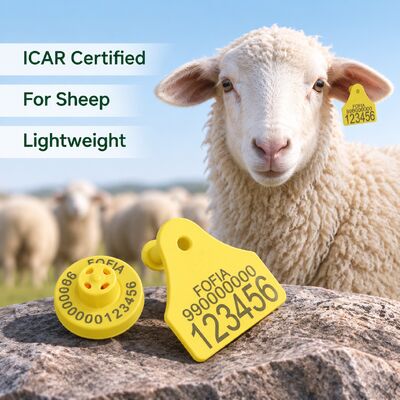 Fofia Full ICAR Combination Sheep Goat Electronic Tracking Ear Tag New High Quality RFID TPU Plastic Laser Coding 3-Year