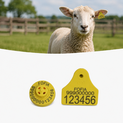 TPU-identificatiemerkers voor schapen Frequentie 134,2KHz Lichte oormerken ontworpen voor langdurige identificatie van vee