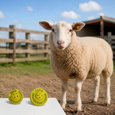 ICAR-gecertificeerde elektronische oordopjes voor vee met TPU-materiaal en spanning van 350 N voor boerderijbeheer