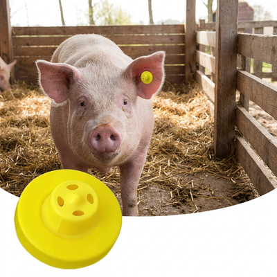FULL ICAR 134.2KHz RFID-metalen oortekens voor runderen varkens schapen Verbeterde identificatieoplossing voor dieren